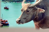 Indochina Tourismus
